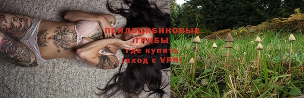 Альфа ПВП Белоозёрский