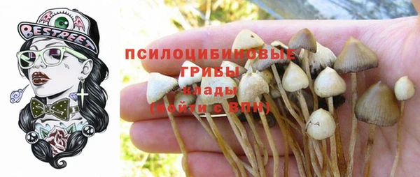 эйфоретик Гусиноозёрск