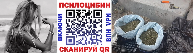 продажа наркотиков  Светогорск  Псилоцибиновые грибы мицелий 